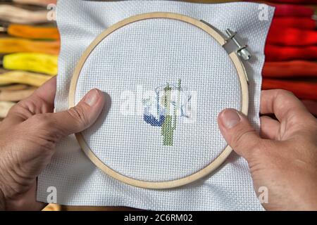 Embroidery in the Lady's hands needlework accessories Stock Photo