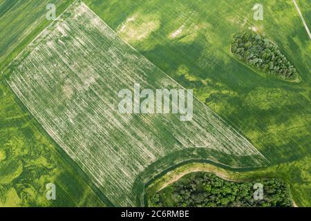 green fields aerial view in summer. picturesque countryside landscape Stock Photo