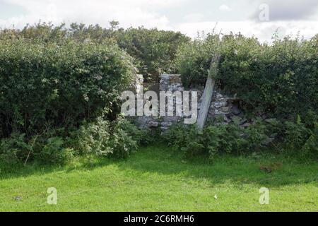 A point in the wall where a public footpath starts giving access to the field where the footpath runs along the side of the field. Stock Photo