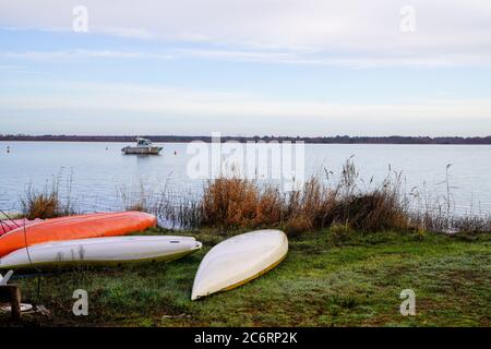 Empty plastic recreational kayaks for rent hire stored on green grass lake beach Stock Photo