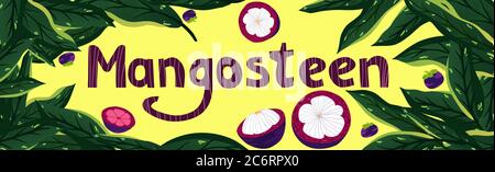 Sliced purple mangosteen fuit, mangosteen pattern, birthday card Stock Vector