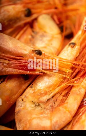 Cooked Atlantic shrimps. Close up. A traditional food of coastal cuisine Stock Photo