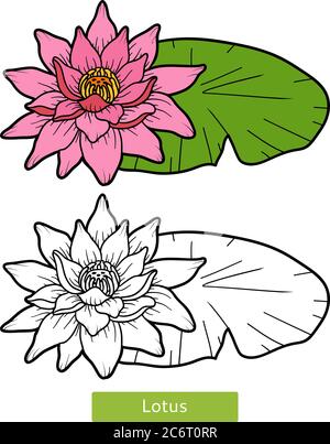 Coloring book for children, flower Lotus Stock Vector