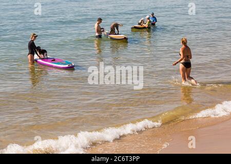 Poole, Dorset UK. 12th July 2020. UK weather: very warm sunny day at Poole beaches as temperatures rise and sunseekers head to the seaside to enjoy the sunshine. Dogs learning to paddleboard. Credit: Carolyn Jenkins/Alamy Live News Stock Photo
