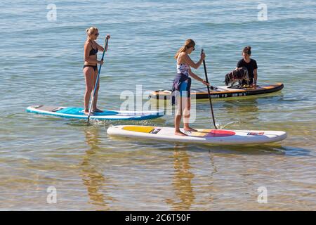Poole, Dorset UK. 12th July 2020. UK weather: very warm sunny day at Poole beaches as temperatures rise and sunseekers head to the seaside to enjoy the sunshine. Paddleboarders and dog learning to paddleboard. Credit: Carolyn Jenkins/Alamy Live News Stock Photo
