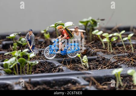Miniture people cyclist and miniture gardeners with planting tree background. Stock Photo