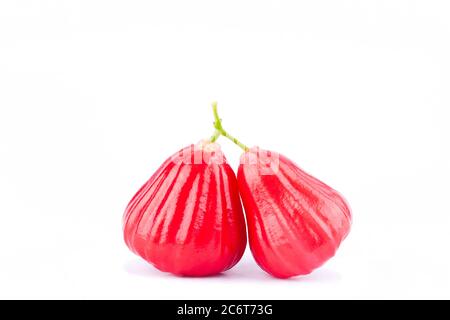 red rose apple or bell fruit  on white background healthy rose apple fruit food isolated Stock Photo