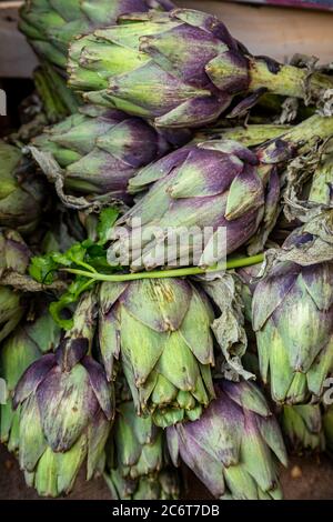 A full frame photograph of globe artichokes for sale on a market stall Stock Photo