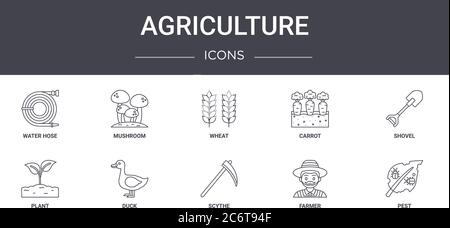 agriculture concept line icons set. contains icons usable for web, logo, ui/ux such as mushroom, carrot, plant, scythe, farmer, pest, shovel, wheat Stock Vector