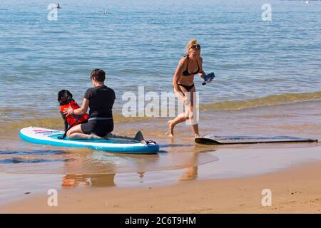 Poole, Dorset UK. 12th July 2020. UK weather: very warm sunny day at Poole beaches as temperatures rise and sunseekers head to the seaside to enjoy the sunshine. Dog learning to paddleboard. Credit: Carolyn Jenkins/Alamy Live News Stock Photo