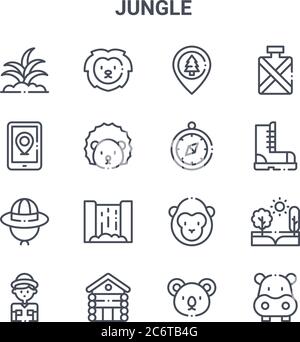 set of 16 jungle concept vector line icons. 64x64 thin stroke icons such as lion, smartphone, boot, gorilla, wood house, hippopotamus, koala, compass, Stock Vector