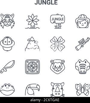 set of 16 jungle concept vector line icons. 64x64 thin stroke icons such as palm, hat, rifle, lion, toucan, butterfly, rhinoceros, flower, girl Stock Vector