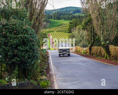 SAO MIGUEL ISLAND, AZORES, PORTUGAL, December 24, 2018: Old car truck driving on entrance road to the tea plantation of Gorreana tea factory Cha Stock Photo