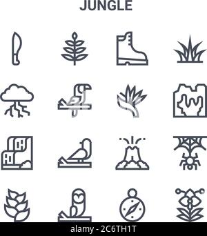 set of 16 jungle concept vector line icons. 64x64 thin stroke icons such as leaves, thunderstorm, cave, volcano, owl, orchid, compass, plant, grass Stock Vector