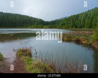 Banks of shallow volcanic lake Lagoa Rasa surrounded by lush green forest, foggy day, the island of Sao Miguel, Azores, Portugal Stock Photo