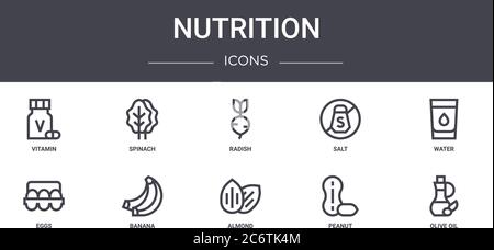 nutrition concept line icons set. contains icons usable for web, logo, ui/ux such as spinach, salt, eggs, almond, peanut, olive oil, water, radish Stock Vector