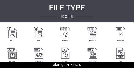file type concept line icons set. contains icons usable for web, logo, ui/ux such as file, xls file, avi dll doc tiff, indd mp Stock Vector