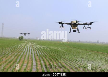 Plant deals protection drone