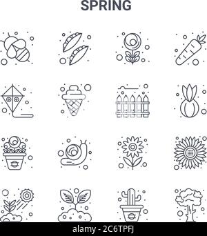 set of 16 spring concept vector line icons. 64x64 thin stroke icons such as peas, kite, onion, flower, gardening, tree, cactus, fence, carrot Stock Vector