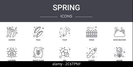 spring concept line icons set. contains icons usable for web, logo, ui/ux such as peas, fence, ladybird, bee, carrot, macro, good weather, tulip Stock Vector