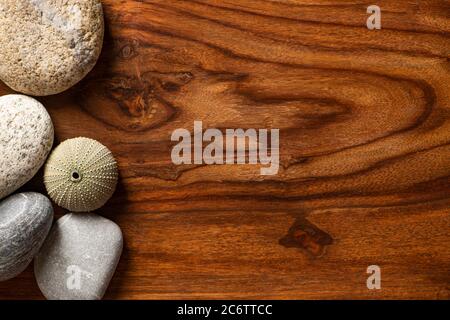 Seashell with Sea Pebbles and Stones of Various Sizes on a Wooden Background Stock Photo