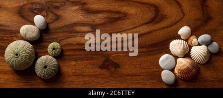 Sea Pebbles with Seashells on a Dark Wooden Texture for Background Stock Photo