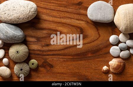 Violet Sea Urchin with Seashells and Pebbles on a Wooden texture for Background Stock Photo
