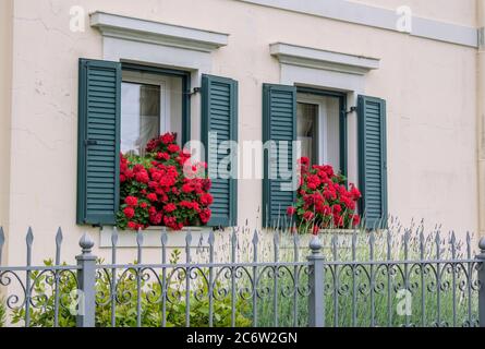 House facade with green wooden shutters on windows, decorated with beautiful red geranium flowers Stock Photo