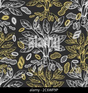 Hand drawn peanut branch and kernels seamless pattern. Organic food vector illustration on chalk board. Vintage nut background. Engraved style botanic Stock Vector
