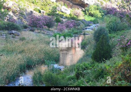 The Palancia river, an example of Mediterranean mountain river in Valencia region, eastern Spain Stock Photo