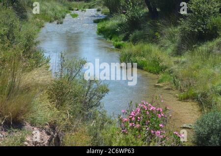 The Palancia river, an example of Mediterranean mountain river in Valencia region, eastern Spain Stock Photo
