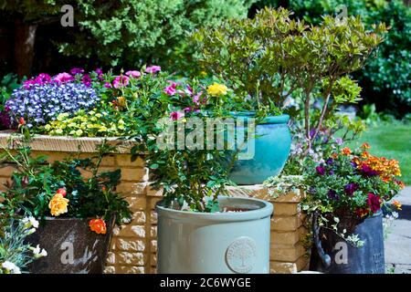 Beautiful display of flowers in pots & containers Stock Photo