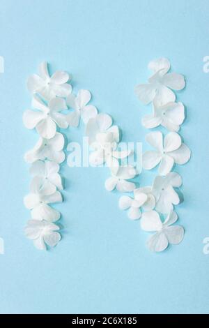 Flower Alphabet - N. Letter made from live flowers on light blue background Stock Photo