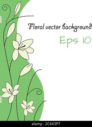 floral abstract background with white lily flower light green curves and spiral stem decorative vector template sample text Stock Vector