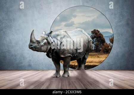 Rhino in the room, photo and media mixed creative concept Stock Photo