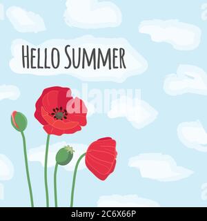Hello summer text with cute colorful red field poppy flowers on Stock Vector