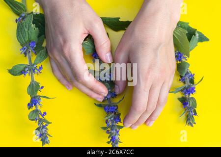 Female hands near the composition of bright blue field flowers on yellow background. Blooming wild flowers. Flat lay. Background, postcard, banner, co Stock Photo