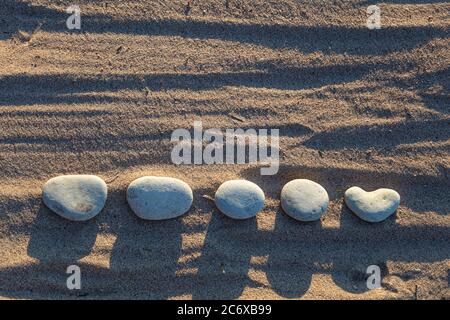 Lined smooth pebbles in the sand, Copy space . High quality photo Stock Photo