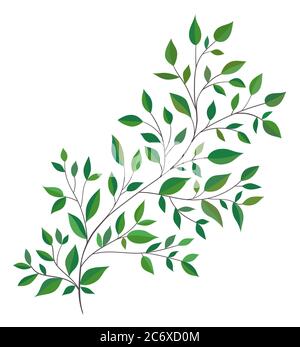 Beautiful twig with green leaves. Hand drawn vector illustration. Stock Vector