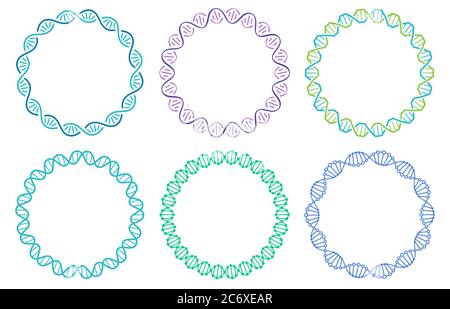 DNA spiral frame set. Human genome helix isolated on white background. Genetic concept for science or medicine Stock Vector