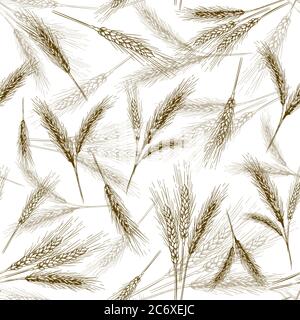 Hand drawn ears of wheat with grains, bakery sketch vector illustration ...