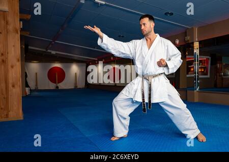 Karate man stand your ground on tatami doing 'Shuto Uchi' Stock Photo