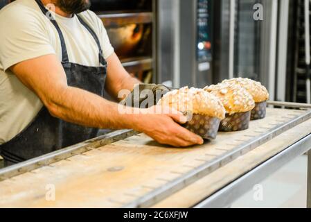 Pastry chef preparing baking italian christmas sweet cake in bakery Stock Photo
