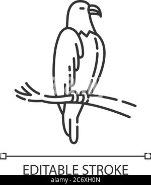 Eagle pixel perfect linear icon. Dangerous bird of prey. Thin line customizable illustration. Contour symbol. Hawk, falcon sitting on tree branch vect Stock Vector