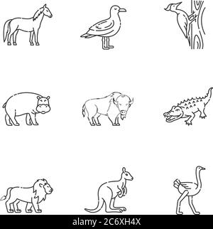 Flying and land animals pixel perfect linear icons set. Common birds and exotic wildlife customizable thin line contour symbols. Isolated vector outli Stock Vector