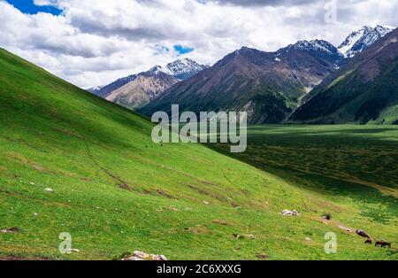 A wonderful scenery along the Duku Highway, which is praised as the most beautiful highway, northwest China's Xinjiang Uyghur Autonomous Region, 13 Ju Stock Photo