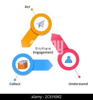 Employee engagement act understand collect in diagram with colorful flat style. Stock Vector