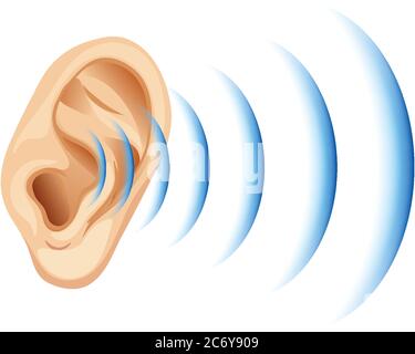 Drawing of ear and sound waves, vector illustration Stock Vector Image ...