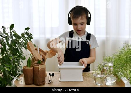 The boy is engaged in the planting of hyacinths. Prepares the soil for planting, loosens with a spatula. Stock Photo