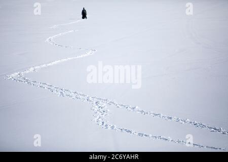 A male fisherman , far away , wading on deep snow on lake ice at Winter , Finland Stock Photo